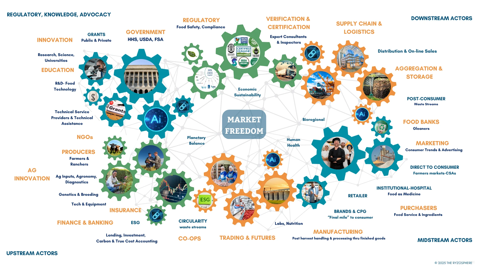 The food system ecosystem: upstream, midstream and downstream actors connected around Market Freedom