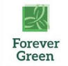 Forever Green